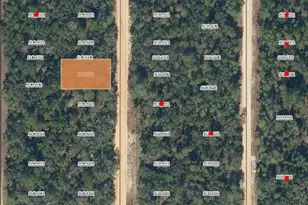 0 David Ave, Interlachen, FL 32148 - Photo 2