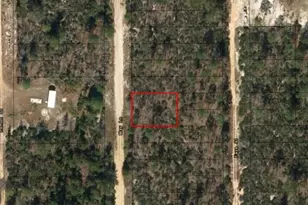 0 May Ln, Interlachen, FL 32148 - Photo 2