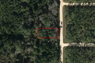 0 Ida Blvd, Interlachen, FL 32148 - Photo 2