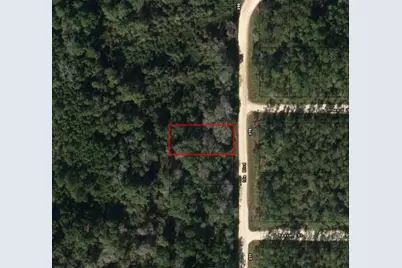 0  Ida Blvd, Interlachen, FL 32148 - Photo 1