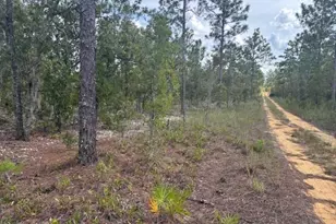 0 Gray St, Interlachen, FL 32148 - Photo 2