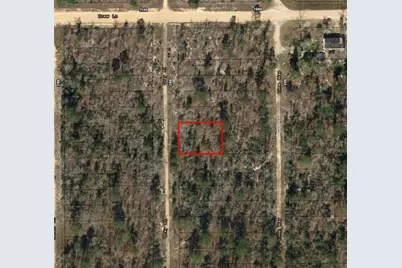 0  Gray St, Interlachen, FL 32148 - Photo 4