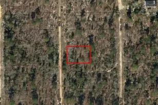 0 Gray St, Interlachen, FL 32148 - Photo 4