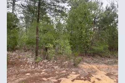 0  Gray St, Interlachen, FL 32148 - Photo 1