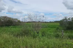 14988 NW 316th St, Okeechobee, FL 34972 - Photo 6