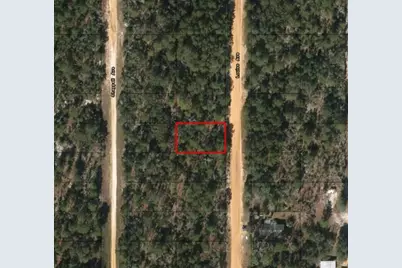 0  Louise Ave, Interlachen, FL 32148 - Photo 2