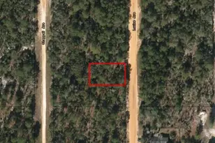 0 Louise Ave, Interlachen, FL 32148 - Photo 2