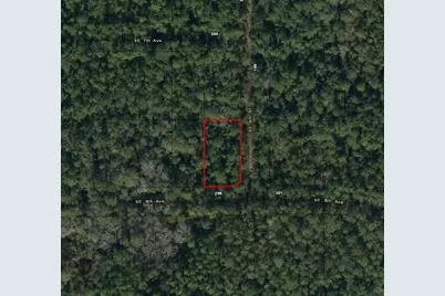 0 SE 8th Ave, Palatka, FL 32177 - Photo 2