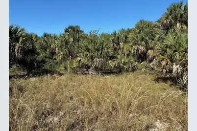 3223 SW Mockingbird Ave, Palm Bay, FL 32908 - Photo 2