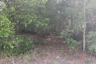 0 SW 30th Pl, Ocala, FL 34481 - Photo 2