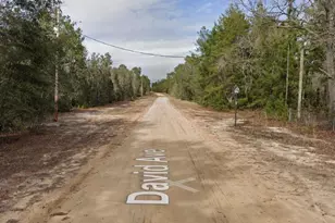 917 David Ave, Other City - In The State Of Florida, FL 32148 - Photo 4