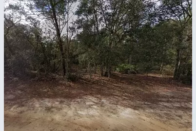 917  David Ave, Other City - In The State Of Florida, FL 32148 - Photo 1