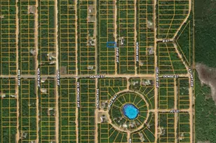 917 David Ave, Other City - In The State Of Florida, FL 32148 - Photo 6