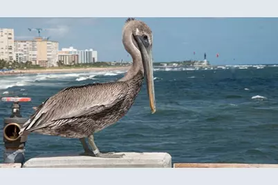 2731 NE 14th Street Causeway #103, Pompano Beach, FL 33062 - Photo 30