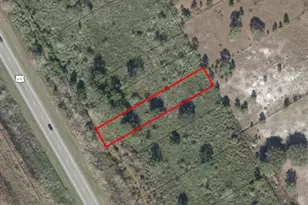 0 N Hwy 441, Okeechobee, FL 34972 - Photo 2