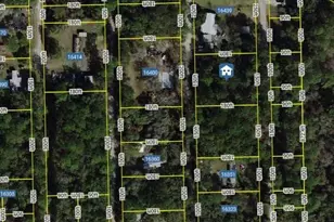 16407 NE 51, Citra, FL 32113 - Photo 2