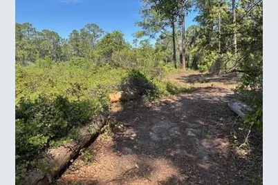 1400  12th Ave, Deland, FL 32724 - Photo 2