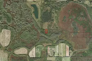 0 Polk City Rd, Other City - In The State Of Florida, FL 33868 - Photo 4