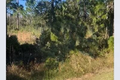 0  Kenansville, Kenansville, FL 34739 - Photo 1