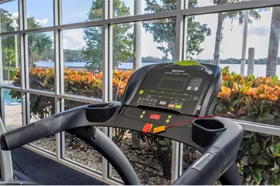 13415  Blue Heron Beach Dr, Unit #910, Orlando, FL 32821 - Photo 80