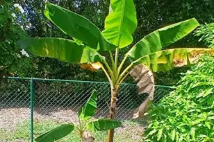 1124 Rialto Dr, Boynton Beach, FL 33436 - Photo 38