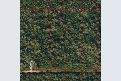 Vacant Land SE 40th Ave, Naples, FL 34117 - Photo 2