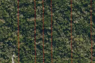 Vacant Land SE 40th Ave, Naples, FL 34117 - Photo 2