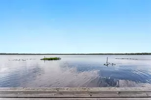 115 Flora Terrace, Florahome, FL 32640 - Photo 46