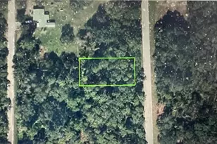 448 Fletcher Ave, Lake Placid, FL 33852 - Photo 6