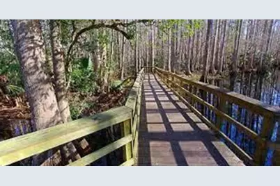 3330  Forrest Ridge Avenue, Lake Placid, FL 33852 - Photo 4