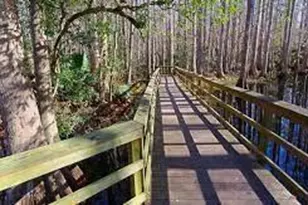 3330 Forrest Rdg Ave, Lake Placid, FL 33852 - Photo 4