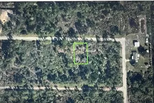 3330 Forrest Rdg Ave, Lake Placid, FL 33852 - Photo 6