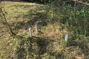 9205 SE 60th Dr, Okeechobee, FL 34974 - Photo 2