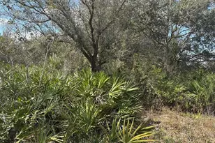 0 NW 300th St, Okeechobee, FL 34972 - Photo 2