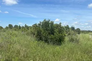 0 NW 300th St, Okeechobee, FL 34972 - Photo 2