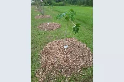 136 SW 85th Ave., Okeechobee, FL 34974 - Photo 44