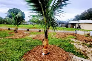 136 SW 85th Ave, Okeechobee, FL 34974 - Photo 42