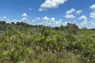 0 NW 314th St, Okeechobee, FL 34972 - Photo 2