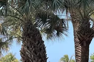 4445 El Mar Dr, Lauderdale by the Sea, FL 33308 - Photo 16