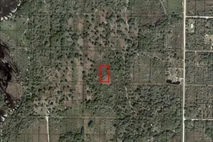 0 NW 296th St, Okeechobee, FL 34972 - Photo 4
