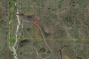 0 NW 290th St, Okeechobee, FL 34972 - Photo 2