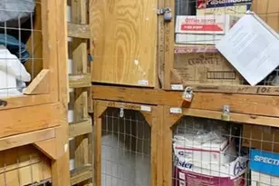 639 W Oakland Park Blvd, Oakland Park, FL 33311 - Photo 16