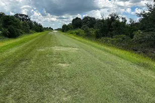 16114 NW 262nd St, Okeechobee, FL 34972 - Photo 4