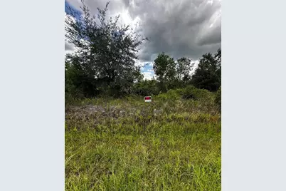 16114 NW 262nd St, Okeechobee, FL 34972 - Photo 2