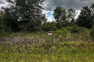 16114 NW 262nd St, Okeechobee, FL 34972 - Photo 2
