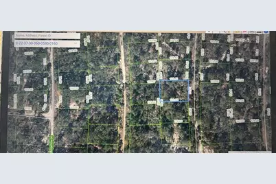 248  Suwanner Dr, Lake Placid, FL 33852 - Photo 8