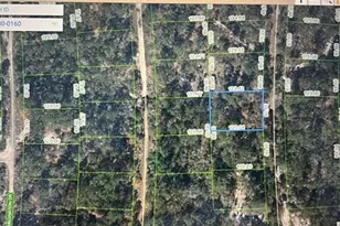 248 Suwanner Dr, Lake Placid, FL 33852 - Photo 8