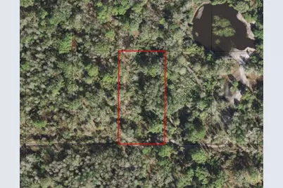 0  County Rd 54 E, Kathleen, FL 33849 - Photo 2