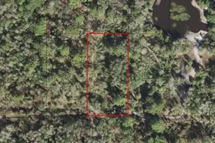 0 County Rd 54 E, Kathleen, FL 33849 - Photo 2