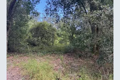 0  County Rd 54 E, Kathleen, FL 33849 - Photo 1